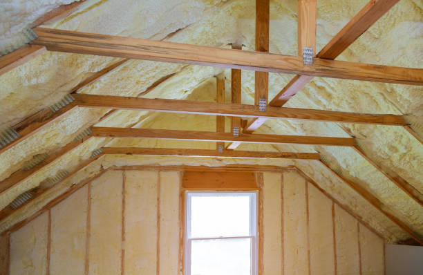 Professional Insulation Contractor in Davis, CA