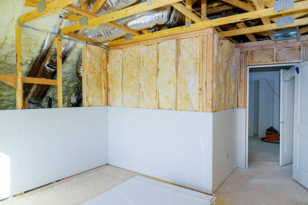 Best Eco-Friendly Insulation in Davis, CA