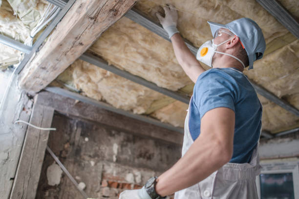 Best DIY Insulation Kits and Guidance in Davis, CA