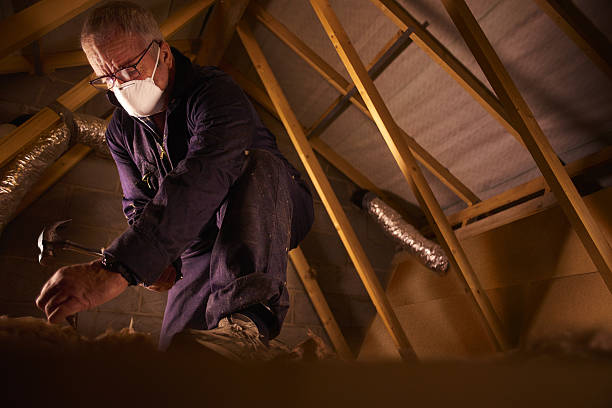 Types of Insulation We Offer in Davis, CA
